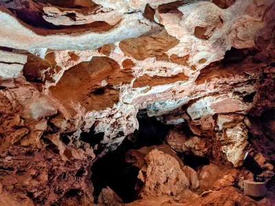 Wind Cave National Park - Photo 5