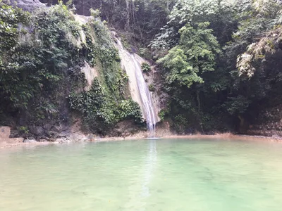 Baras - Photo 3