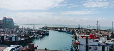 Port St Francis - Photo 4
