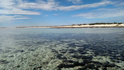 Hamelin Pool - Photo 2