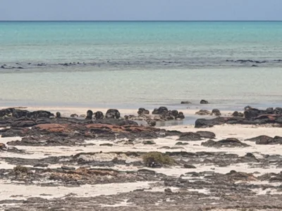 Hamelin Pool - Photo 5