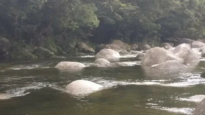 Mossman - Photo 5