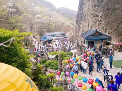 Jinan-gun - Photo 5