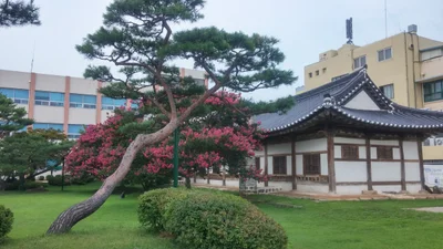 Hongseong-gun - Photo 5