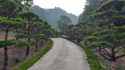 Hoengseong-gun - Photo 2
