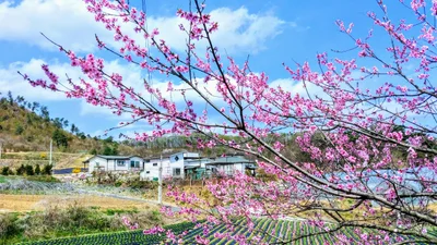 Hoengseong-gun - Photo 3