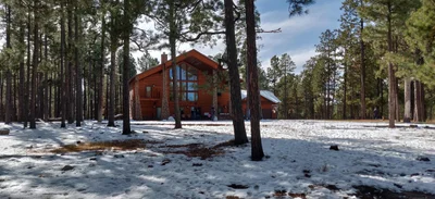 Forest Lakes - Photo 2