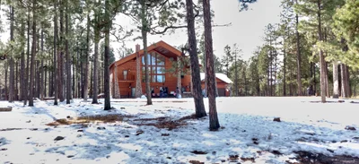 Forest Lakes - Photo 4