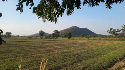 Sawankhalok - Photo 5