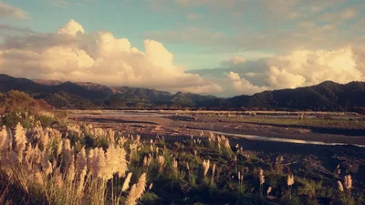 Te Kaha - Photo 2