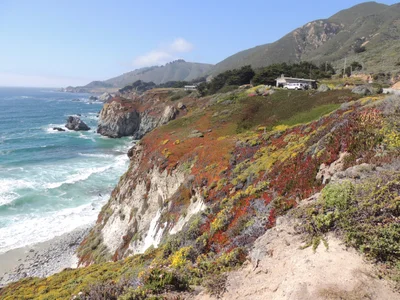 Big Sur - Photo 3
