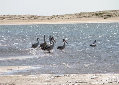 Alva Beach - Photo 4