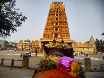Nanjangud - Photo 2