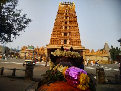 Nanjangud - Photo 3