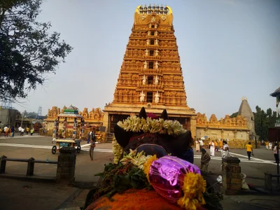 Nanjangud - Photo 4