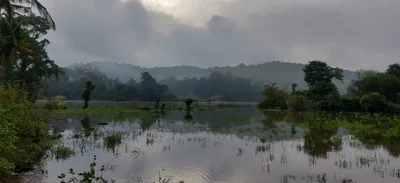 Tumari - Photo 2