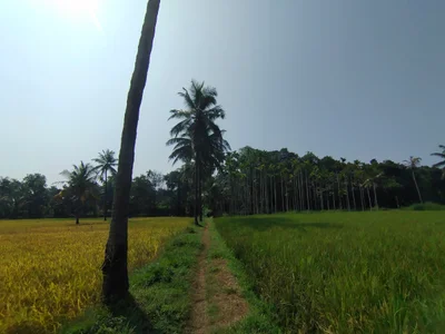 Belthangady - Photo 5