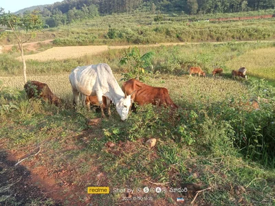 Visakhapatnam District - Photo 2