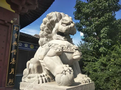 Dezhou - Photo 5