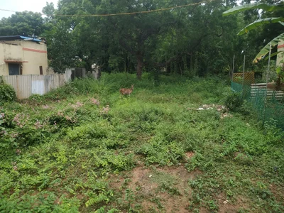 Thirumukkudal - Photo 2