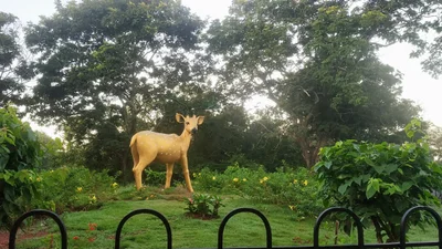 Vikarabad - Photo 3