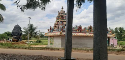 Tipaturu - Photo 4