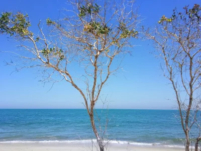 Yaring - Photo 3