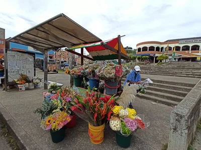 Guarne - Photo 3