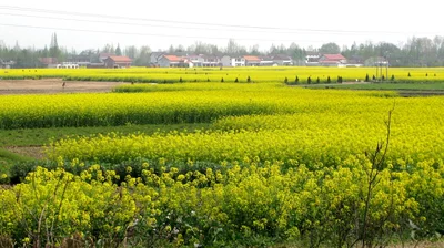 Nanzheng County - Photo 4