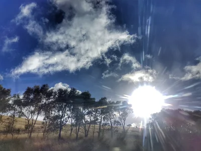 Delamere - Photo 2