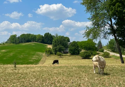 Kent County - Photo 3