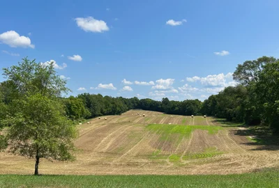 Kent County - Photo 4