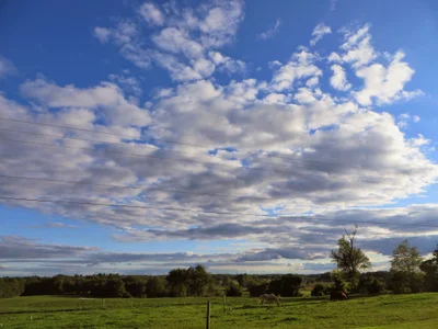 Kent County - Photo 5