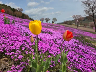 Takinoue - Photo 4