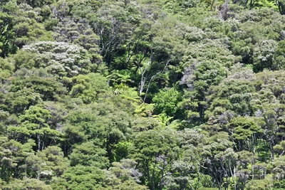 Kenepuru Sound - Photo 2