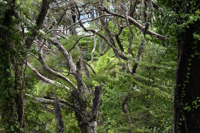 Kenepuru Sound - Photo 3