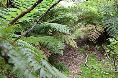 Kenepuru Sound - Photo 4