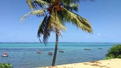 Bel Ombre - Photo 3