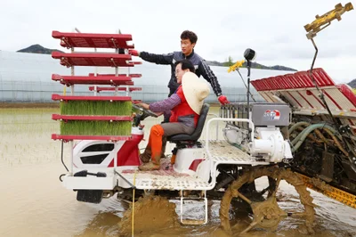 Chilgok-gun - Photo 5