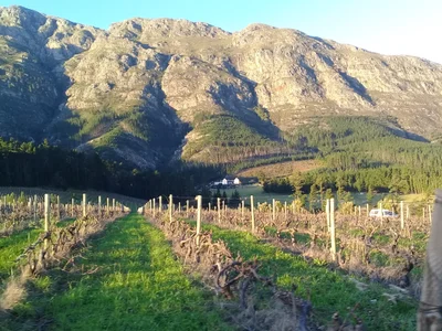Franschhoek - Photo 4