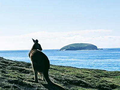 Emerald Beach - Photo 2