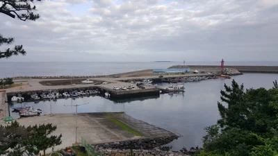 Seogwipo - Photo 2