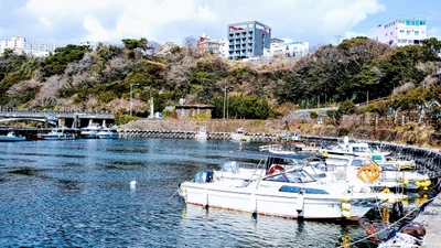 Seogwipo - Photo 4