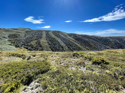 Mount Hotham - Photo 3
