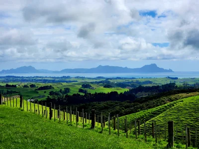 Whangarei Heads - Photo 2