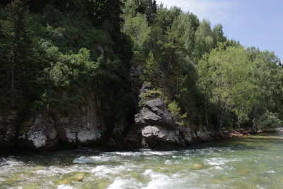 Ridder - Photo 2