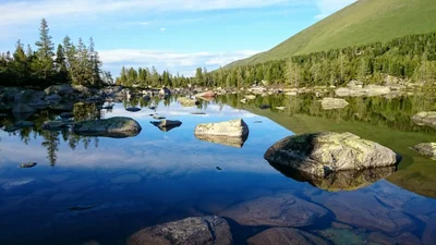 Ridder - Photo 5