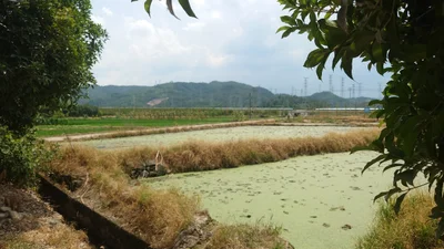 Jinyun County - Photo 5