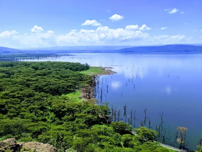 Lake Nakuru National Park - Photo 3