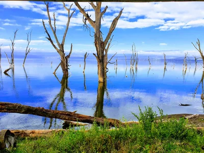 Lake Nakuru National Park - Photo 4